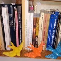 Espaço Ethnos-Folk Livros
